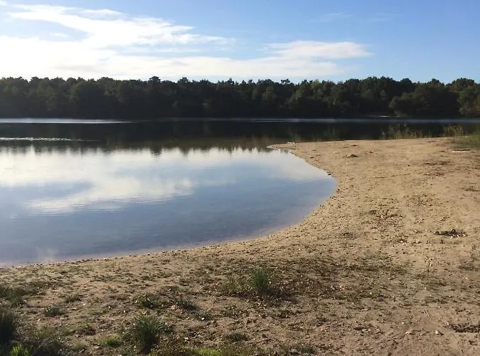 Seegras Barssel (Cloppenburg)